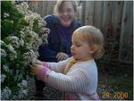 Laurel & flowers